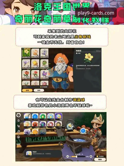 9棋牌官方平台手机版使用指南：从下载到畅玩的完整教程